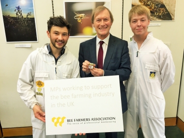 Houses of Parliament Honey Fair creates a buzz